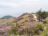 합천 황매산 산행..