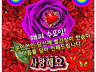 &#127801;수요일 아침..