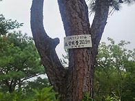 황령산~