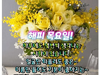 &#127804;해피 목요일..