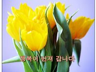 &#127799;금쪽같은 금..