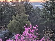 덕룡산