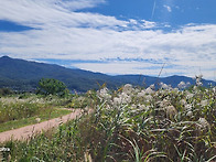 황산공원