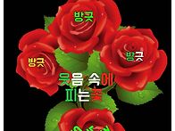 🌹목요일 아침..