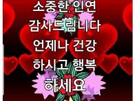 &#127801;11월의 마지..