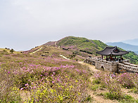 합천 황매산 산행..