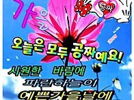 &#127803;행복한 주말..