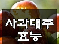 사과대추 효능