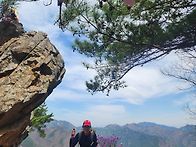제319차 자지산/..