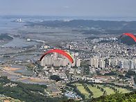 보령