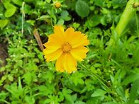 지리산 칠선계곡