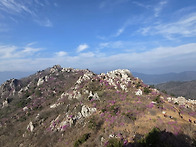 2026년04월05일 전남 강진..