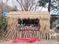 전남나주,금성산(병풍산능..