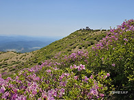 황매산