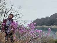 즐거운 수우도 진달래가 ..