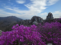 2026년04월05일 전남 강진..