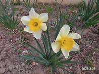 2026년3월29일 경남 창원..