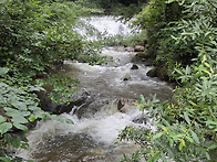 기백산.