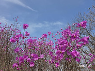 2026년3월29일 경남 창원..