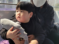 5월이네여 ㅎ