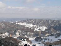 다들 잘 지내고 계시죠?