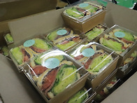 [1020] 2학기 중간 간식행..