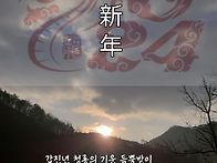 근하신년