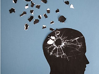 알츠하이머병·파킨슨병 동..