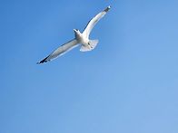 바다의 땅 통영 사량도 지..