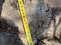 0314 대둔산 솔내음