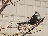 꽃샘추위 속 1박2..