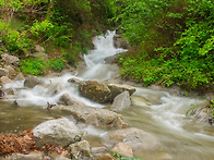 동산계곡 (오은사)