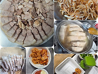 2026년 07월 활동사진