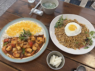 사파키친