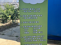 예산 림스체리 농장