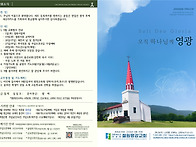 2026-8-30주보