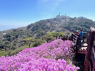 고려산