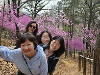 서로다독 20260329