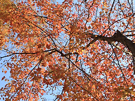 두류공원 ,,임다,,,