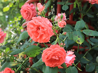 퀸스로드,,,중리동 ,,,
