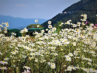 산청 ,,,,,동의보감촌