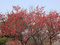 남평문씨,,세거지 ,,,,,