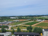 일상의 기적