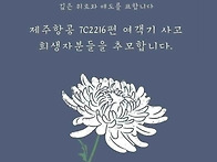 제주항공여객기 참사 사고..