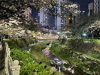 2025년 야유회 #..