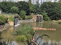 8월걷기모임 장자..