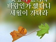 &#55357&#56477 60년 전 이장면