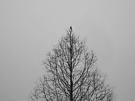 인천대공원 출사