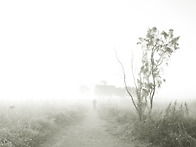 명상으로 가는 길