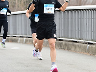 31절 마라톤 사진